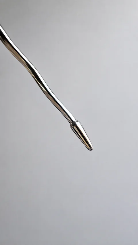 Close-up of the clubbed tail and twisted stem against white.
